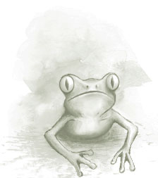 Furyfrog of Wichita